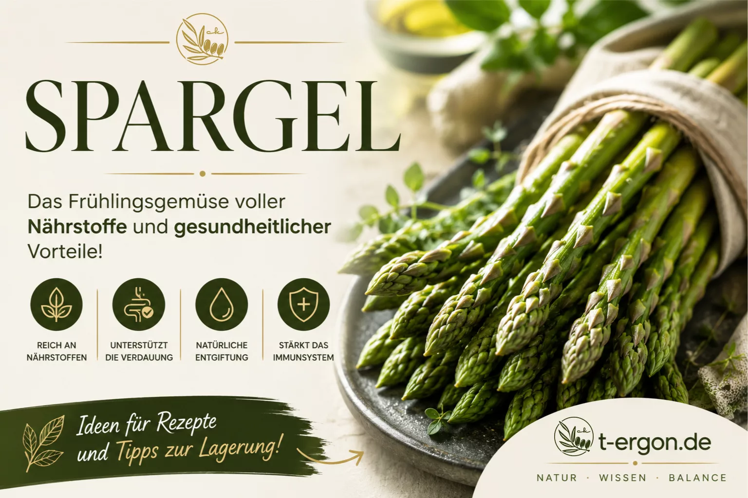 Moderner Spargel Genuss Mietkoch Frankenthal | Tergon Frischer weißer Spargel modern zubereitet von Chef Chris in Frankenthal